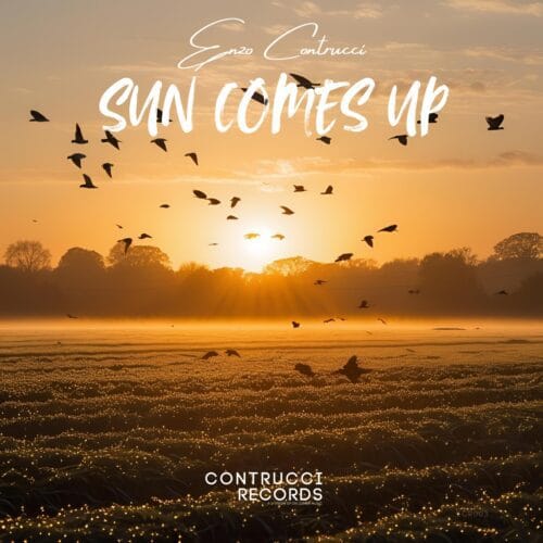 Album art for 'Sun Comes Up' by Enzo Contrucci on Contrucci Records. A scenic photo of a sunrise over a misty field with a flock of birds flying towards the glowing sun.